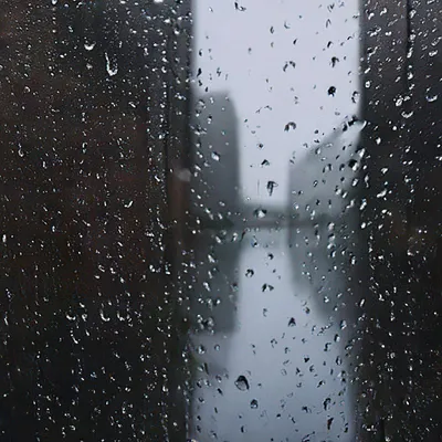Как фотографировать под дождем и получать красивые фото | Фотосклад.Эксперт  | Дзен