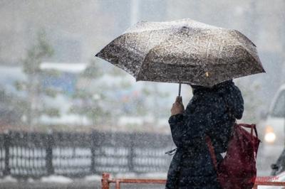В Югре прогнозируют гололед и дождь со снегом, в Сургуте-дожди -Югра  -Новости Сургута