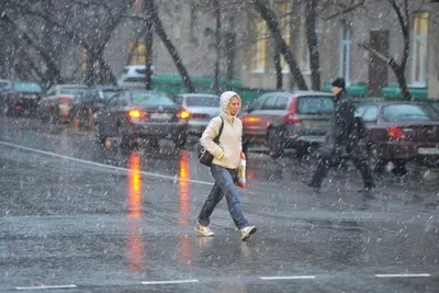 Ледяной дождь, лужи в декабре и лютые морозы – итоги глобального потепления  в Новосибирске