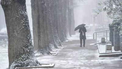 Дождь и очень сильный снег прогнозируют на Ставрополье до конца суток 17  декабря :: 1777.Ru