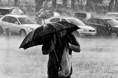 Дождь в городе мокрая дорога тротуар люди идут под дождем вечер туманный  дождливый город | Премиум Фото