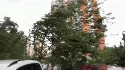 Дождь и ветер с порывами до 12 м/с ожидаются в Москве и области в среду