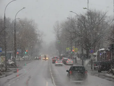 Начавшийся в Москве сильный ливень с грозой попал на видео - Мослента