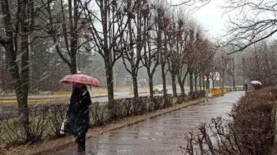 Гроза и дождь: в Томске опять испортилась погода - МК Томск