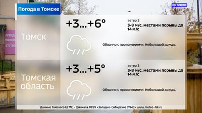 Погода в Томске 25 сентября 2020: небольшой дождь и +12 - KP.RU