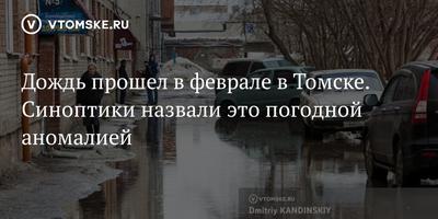 В Томске 17 августа похолодает до +14 градусов - KP.RU