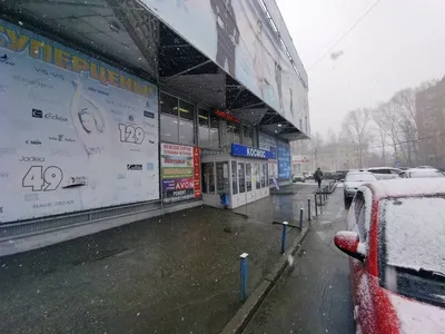 В День молодежи в Томске будет прохладно, возможен дождь - SibMedia.ru