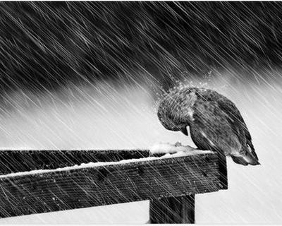 Ледяной дождь, местами гололед: в столице ухудшится погода / Новости города  / Сайт Москвы