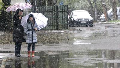 Календарная зима начнётся в Омске с дождя — KVnews.ru