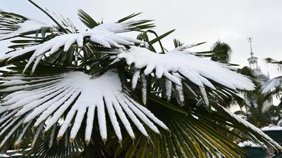 Почему летом идет дождь, а зимой - снег? - советы, обзор темы, интересные  факты от экспертов в области фильтров для воды интернет магазина Akvo