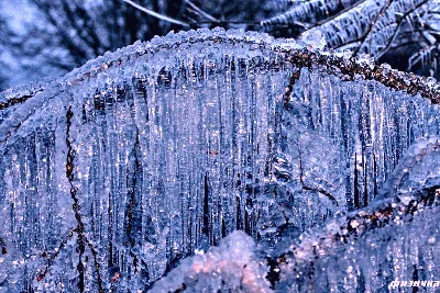 Дождливая зима продолжается: 16 декабря на Кубани ожидаются осадки,  потеплеет до +13°
