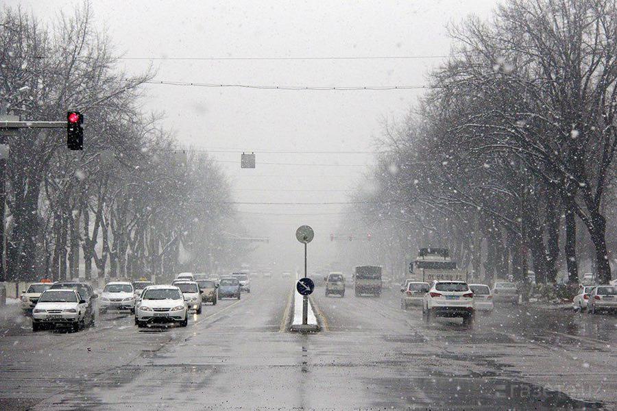Дождливая зима 😢 Но ёлочка прекрасна 😍 | Подслушано Смоленск | ВКонтакте