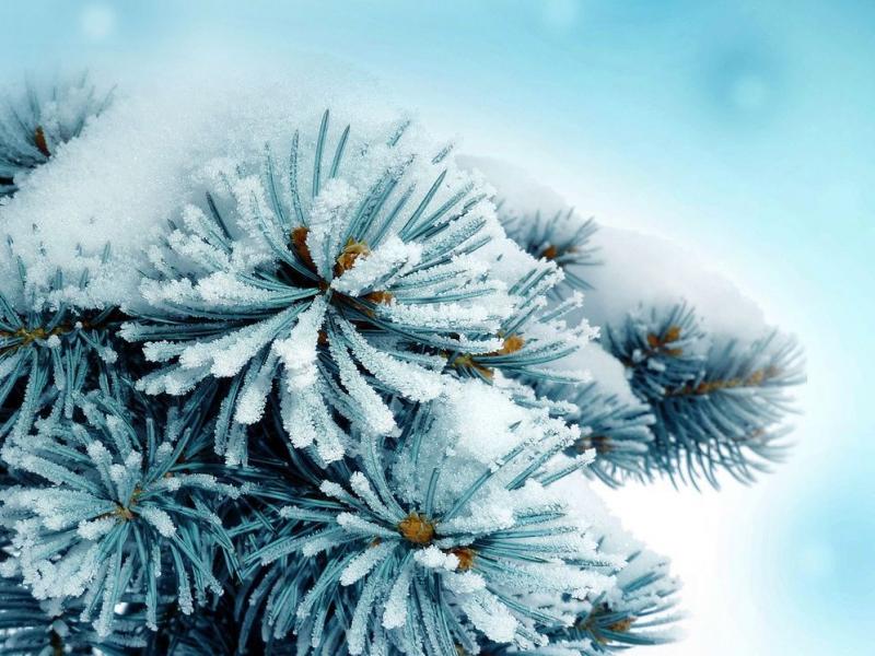 Проказы мальчика»: какое влияние окажет Эль-Ниньо на погоду зимой в  Татарстане?