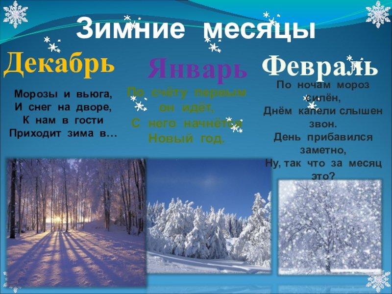 Погода на февраль: зима или весна продолжит радовать Украину?