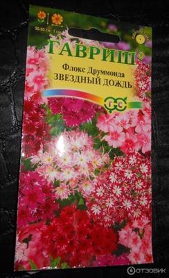 Семена цветов Флокс \"Звездный дождь\" смесь окрасок,однолетник купить по  цене 85 ₽ в интернет-магазине KazanExpress