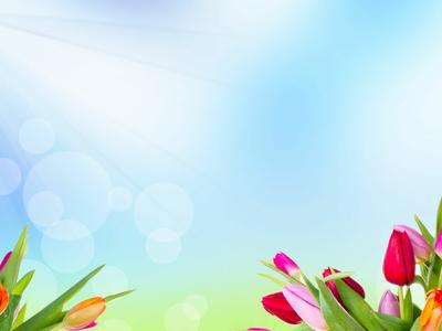 Искусство весенний фон; свежий цветок на голубом фоне стоковое фото  ©Konstanttin 137623752
