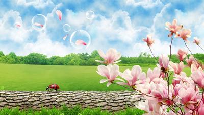 Вишневый цвет весна яркое солнце голубое небо фон, весна, Цветение вишни,  солнце фон картинки и Фото для бесплатной загрузки