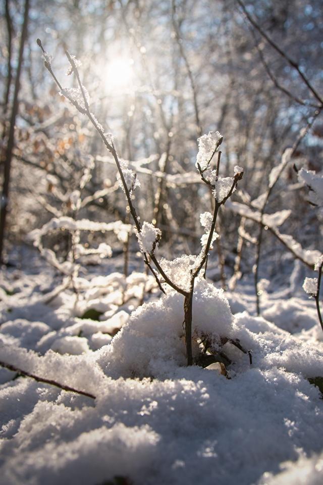 Снежная гора зимний сезон фон Обои Изображение для бесплатной загрузки -  Pngtree