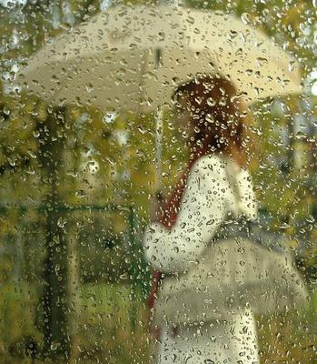 Фотография \"На улице идет дождь...Ты любишь дождь?., автор Vita V.K.