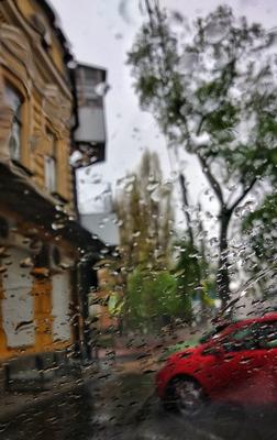 Парижская улица в дождливую погоду — Википедия
