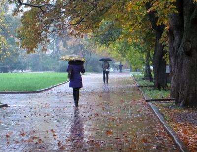 Осень дождь парк пастельная нежная …» — создано в Шедевруме