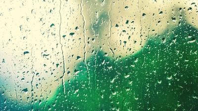 В Париже дождь — конкурс \"За стеклом (любители)\" — Фотоконкурс.ру