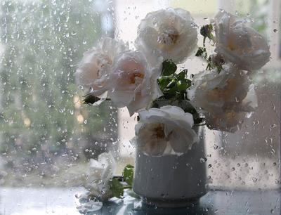 Дождливая Погода Мокрым Стеклом Окна Дома стоковое фото ©Malleo 372479958