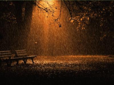 Ночью дождь, днем без осадков и до +15: погода в Николаеве на завтра |  СВІДОК.info