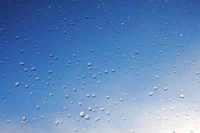 Весенний дождь весенний дождь растение капли дождя дождь фотография  картинки Фон И картинка для бесплатной загрузки - Pngtree