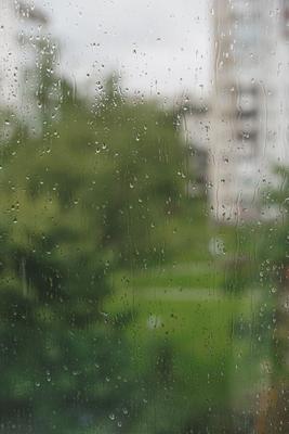Дождь за окном: Бесплатные снимки | Дождя на стекле Фото №1362398 скачать