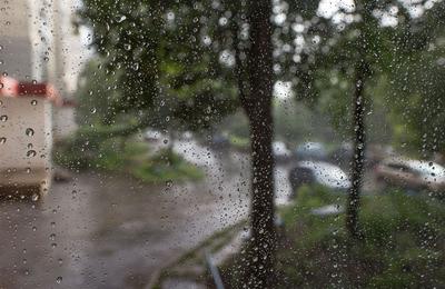 Дождь за окном Изображения – скачать бесплатно на Freepik