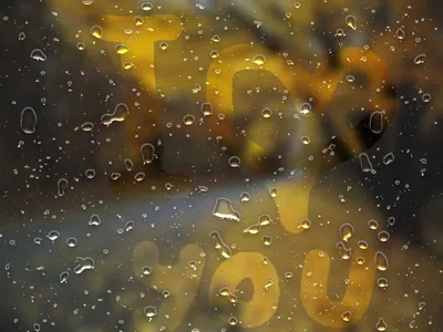 Капли дождя на стекле :: Дарья Совушкина – Социальная сеть ФотоКто