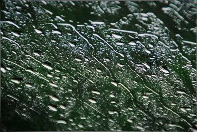 капли дождя на стекле Stock Photo | Adobe Stock