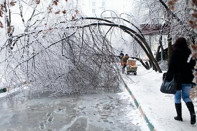 МЧС: в Свердловской области ожидается ледяной дождь
