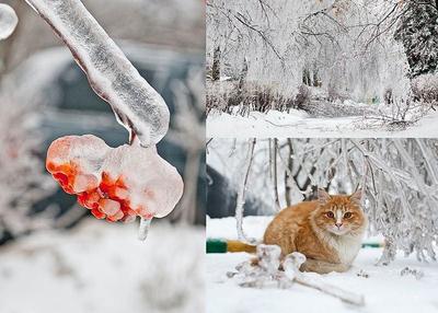 В Оренбургской области прогнозируются ледяной дождь и гололед - ОРТ:  ort-tv.ru