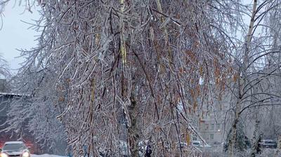 Ростовская область стала декорацией к сказке «Снежная королева»: ледяной  дождь, травмы, нет света и тепла • ИА «ВК Пресс» Краснодар