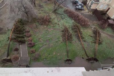 Ледяной Дождь: 2 тыс изображений найдено в Яндекс Картинках