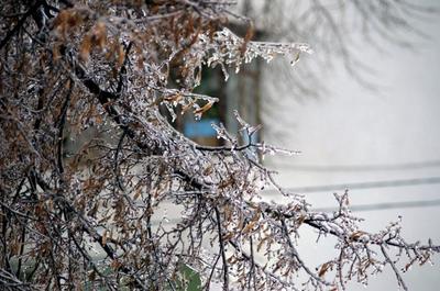 Ледяной дождь в Ростове: последствия, фото