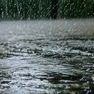 Летний дождь\" – заказать на Ярмарке Мастеров – P2OD2RU | Картины, Завьялово