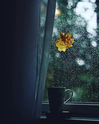 дождь, вид из окна, эстетика, звук дождя | Rainy day aesthetic, Rainy days,  Nature aesthetic
