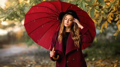 Скачать картинки Осень дождь, стоковые фото Осень дождь в хорошем качестве  | Depositphotos