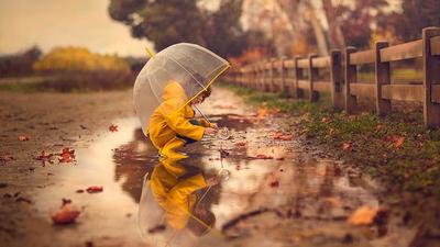 Девушка под осенним дождем - 69 фото