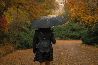 Картинки ольга бойко, девушка, шатенка, пальто, шляпа, зонт, осень, дождь -  обои 1600x900, картинка №275718