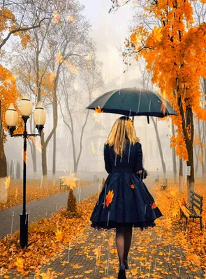 Говорят, что осень - это грусть? 5 трогательных стихотворений | Светлана  Артюкова | Дзен