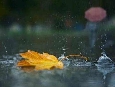 Что рисует осенний дождь на стекле? - фото автора стихиЯ на сайте Сергиев.ru