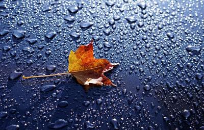 Осенний дождь за окном - 64 фото