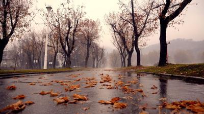 Осень дождь грусть - красивые фото
