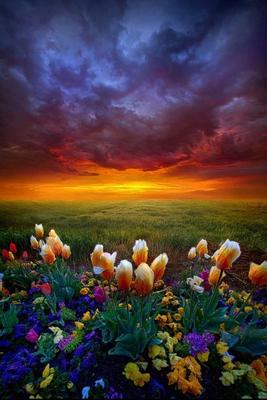Весенний рассвет. Photographer Sergey Shlyaga
