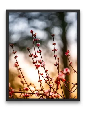 Рассвет в лесу весной - фото и картинки: 30 штук