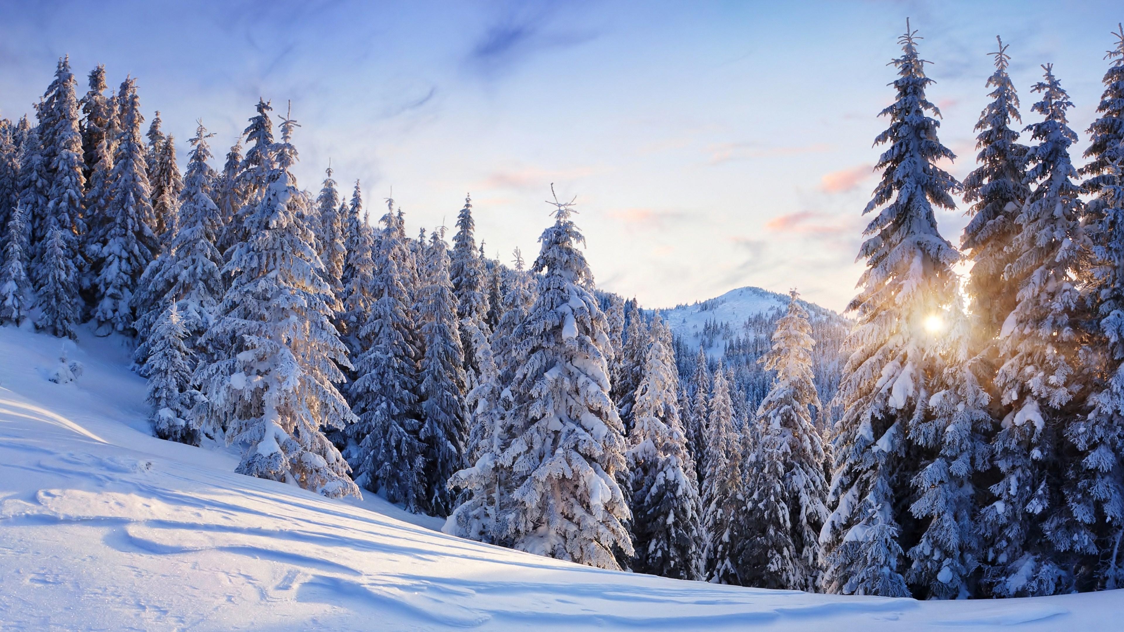 Зима, красивый пейзаж, реалистично, …» — создано в Шедевруме